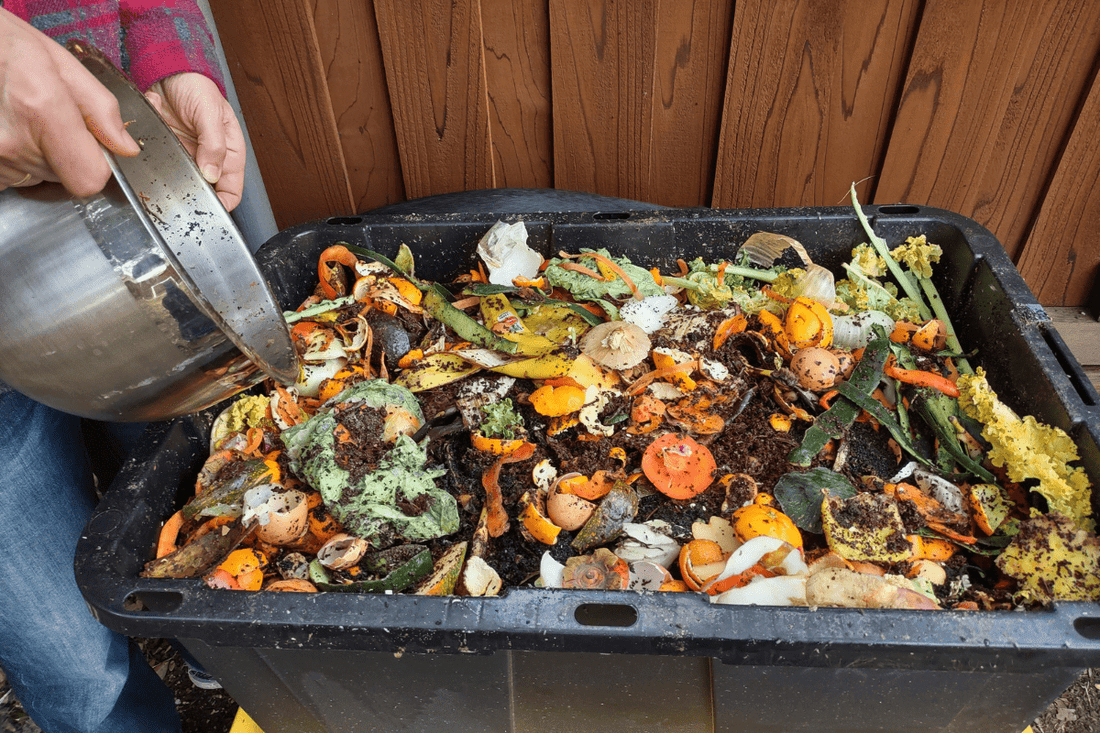 MY Best ever black gold compost - mazeproducts