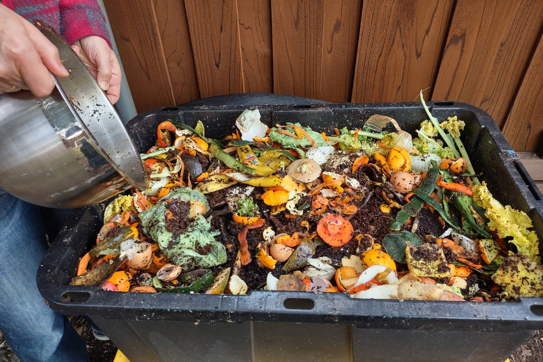 MY Best ever black gold compost