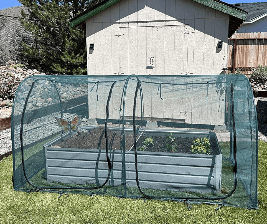 From Seedlings to Harvest: When and How to Use Garden Nets - mazeproducts