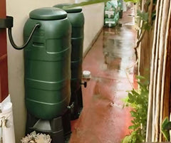 Do You Still Need to Water in Winter? A Guide for Pots and Beds
