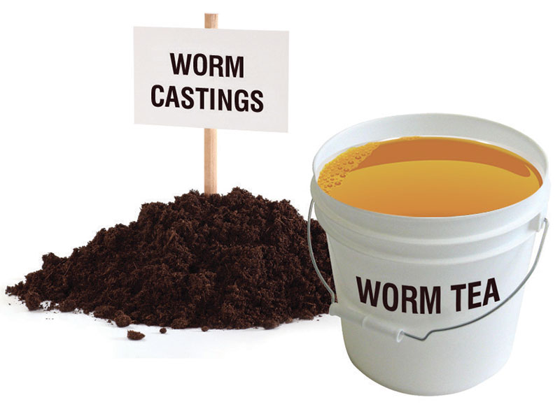 About Worm Farming and Maze Worm Farms