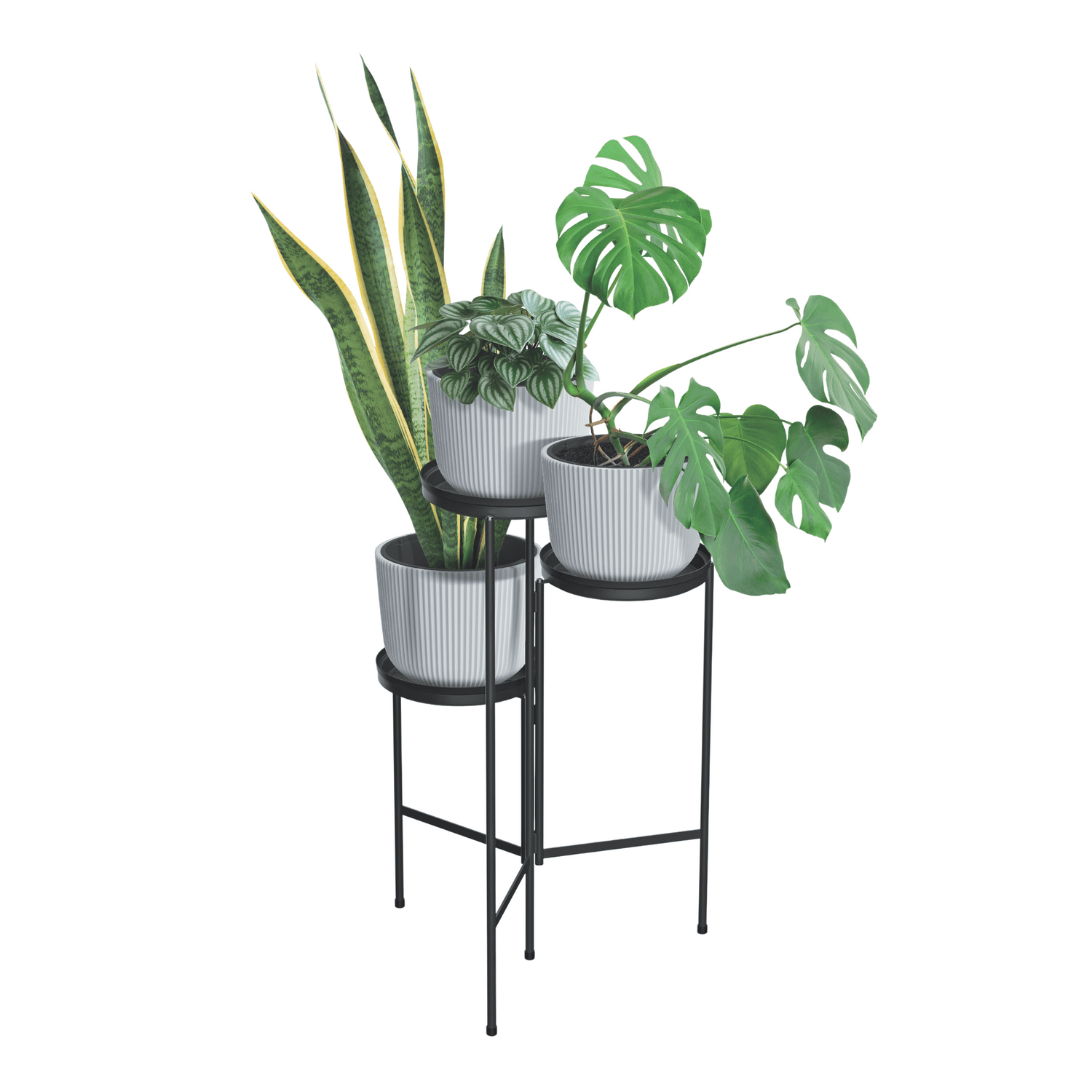 Prosperplast Planters - mazeproducts