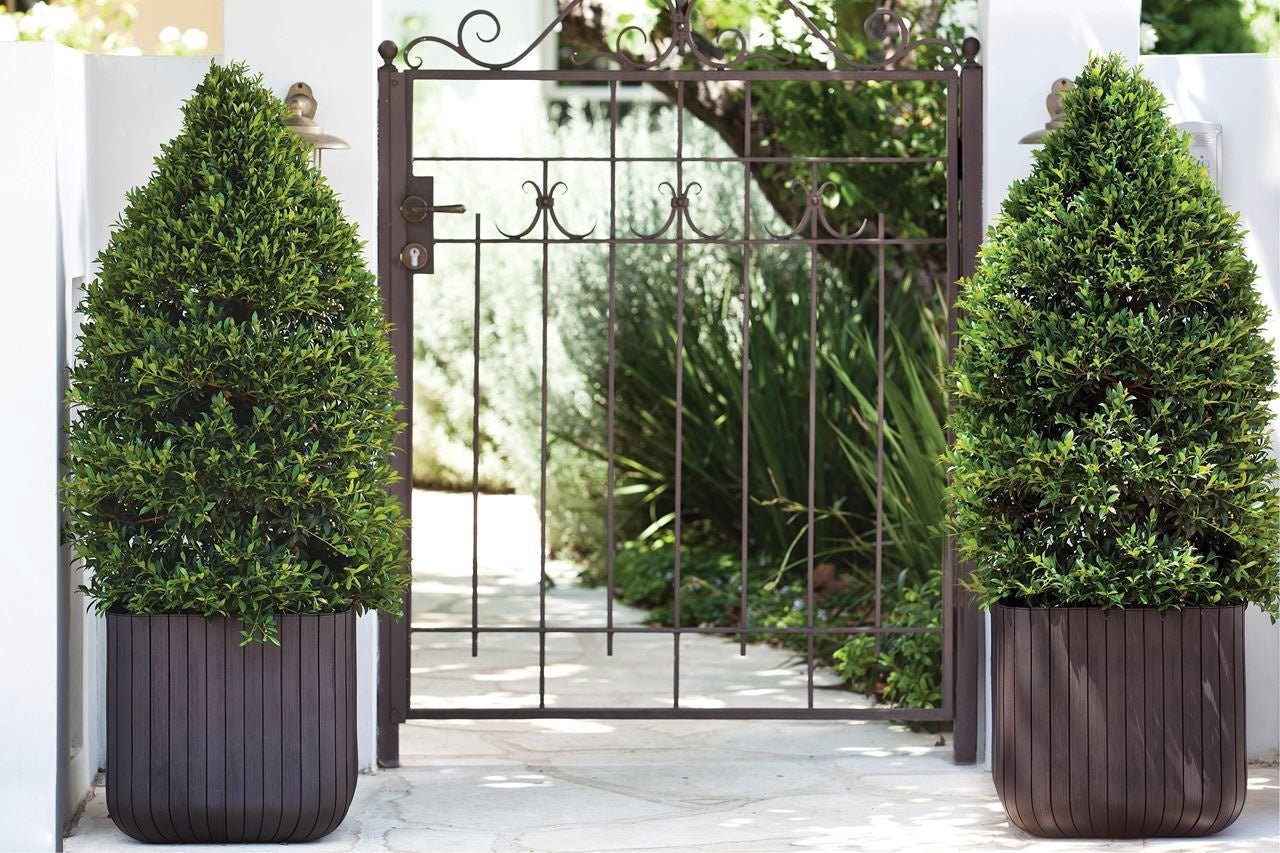 Keter Cube Planter - Brown (Small) - 3 Pack - mazeproducts