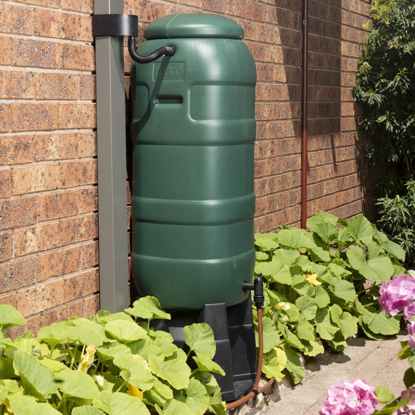 2 x 100L MINItanks with 2 x Stands, Linking Kit & Downpipe Diverter - mazeproducts