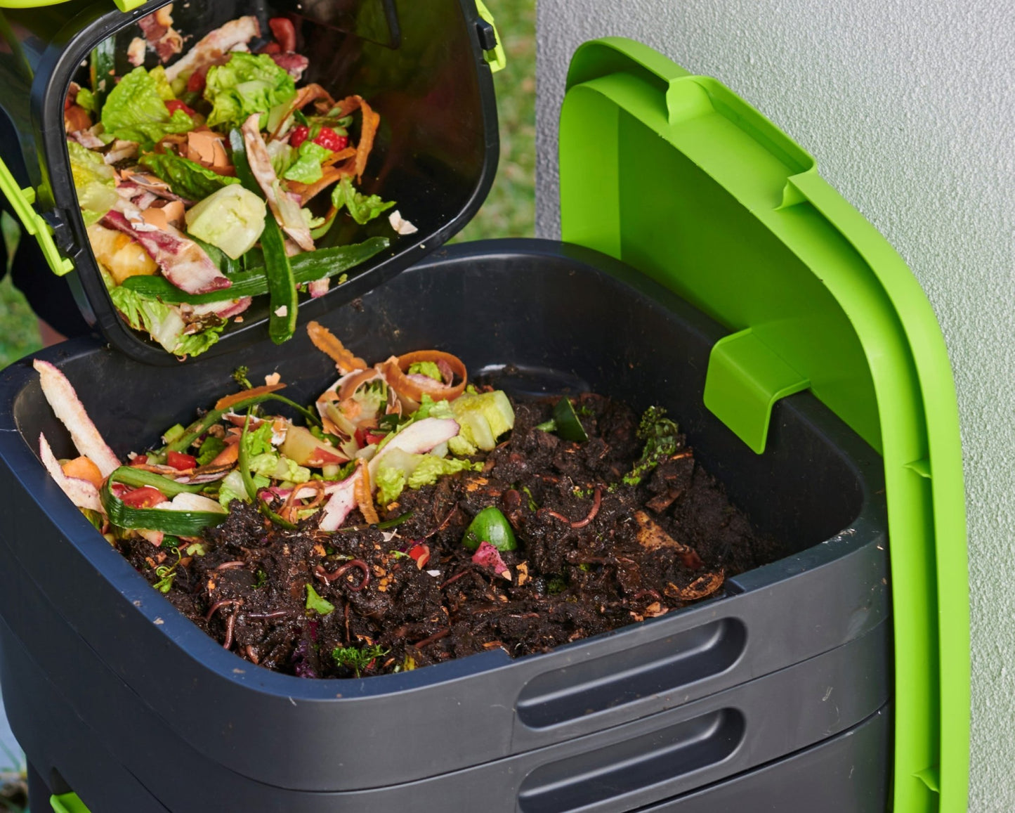 Maze Worm Farm (Legs and Worms) - mazeproducts