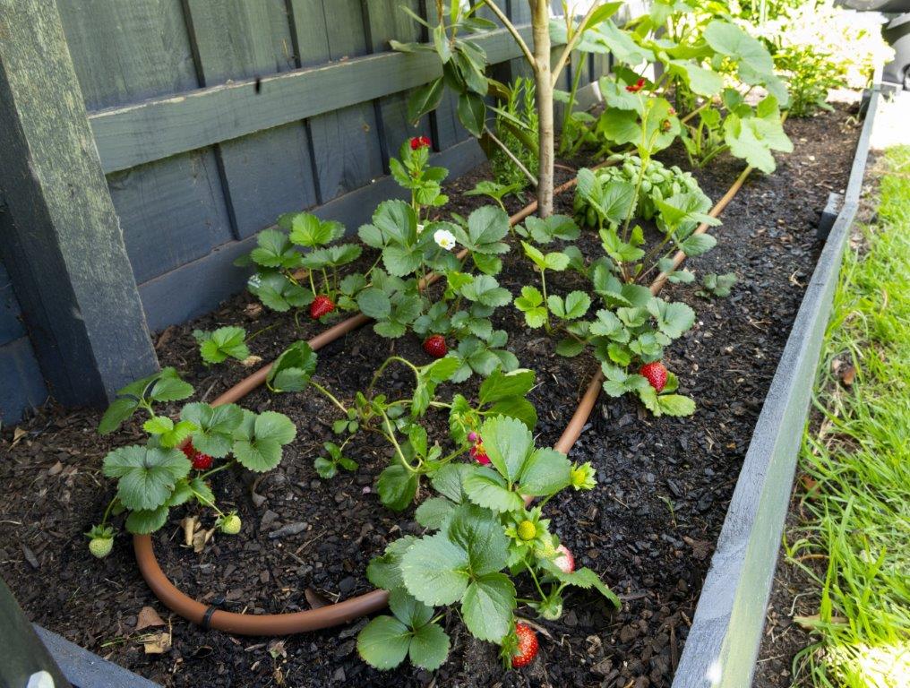 Joiner 13mm - mazeproducts