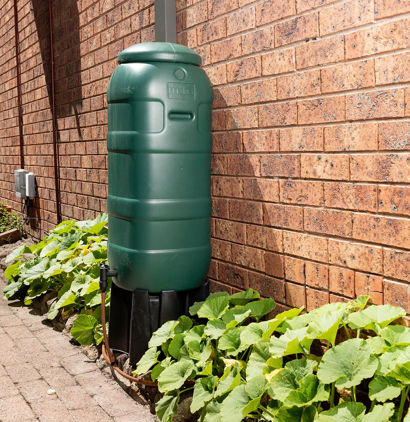 100L MINItank with Stand, Downpipe Diverter & Linking Kit - mazeproducts