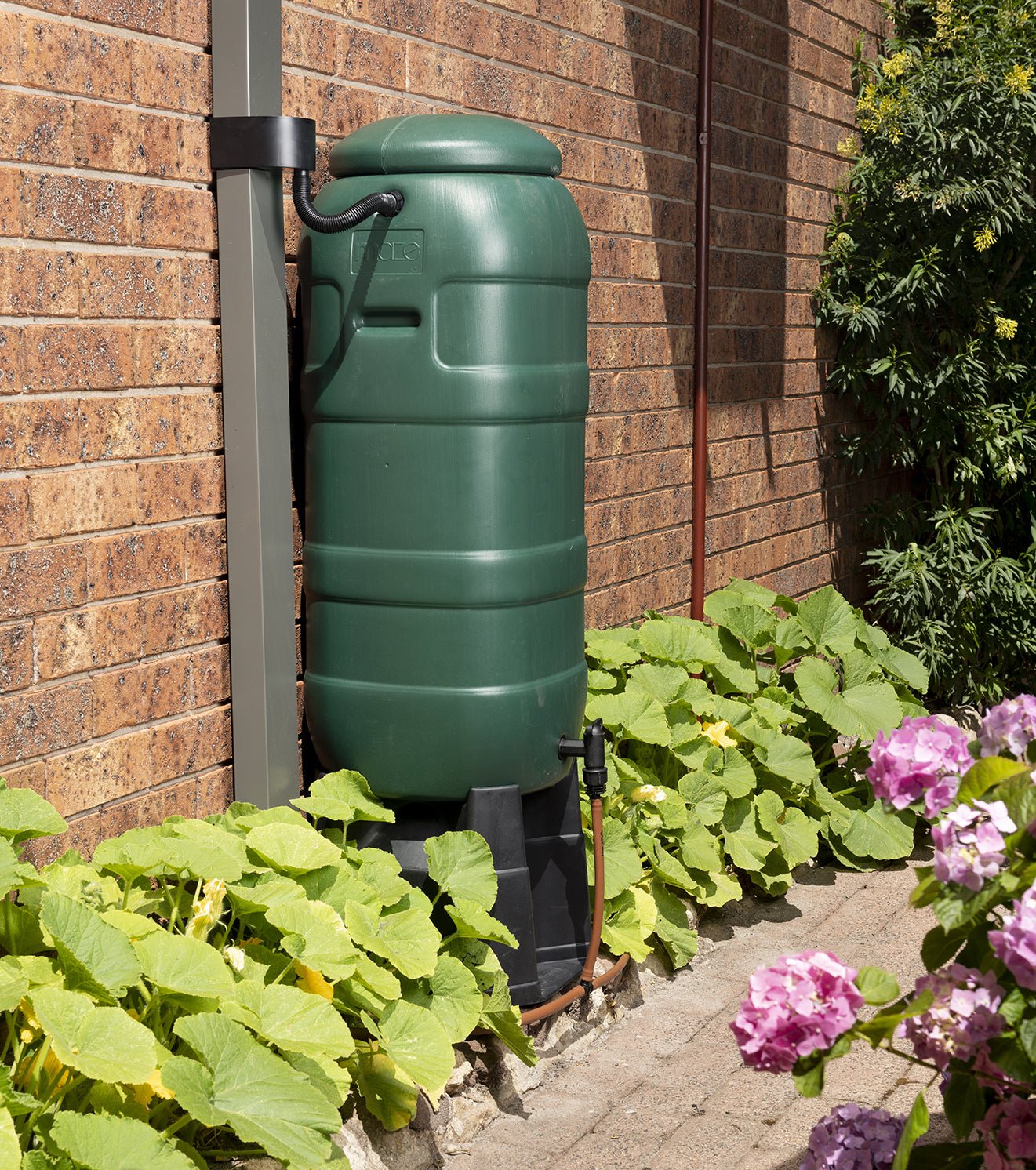 Downpipe Diverter - V2 - mazeproducts