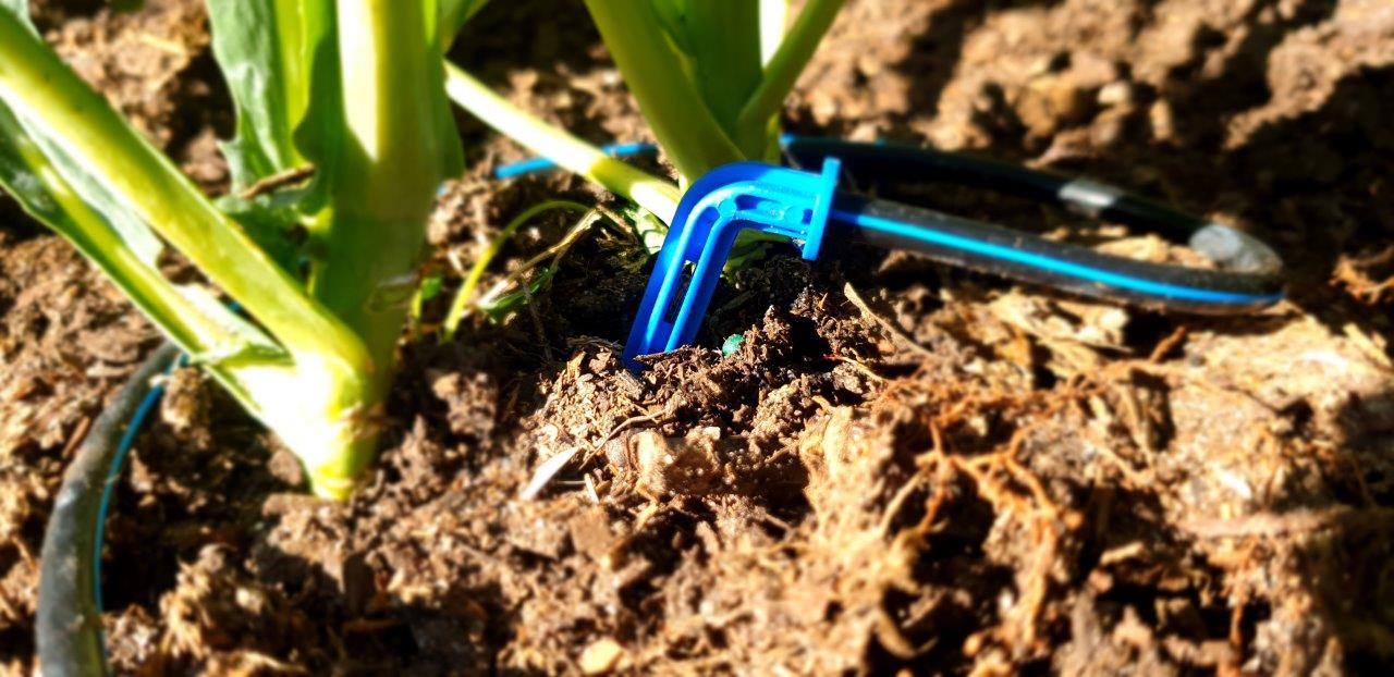 Arrow Dripper Twin Pack - mazeproducts