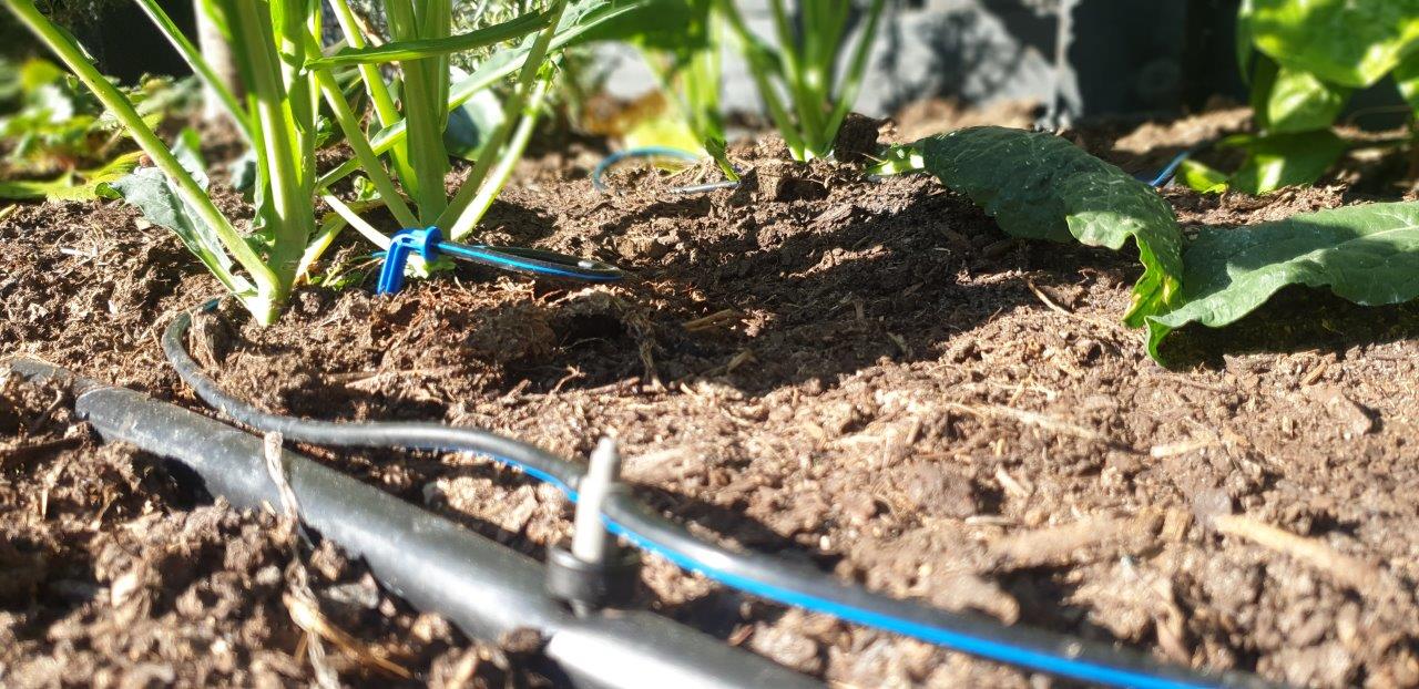 Arrow Dripper Twin Pack - mazeproducts