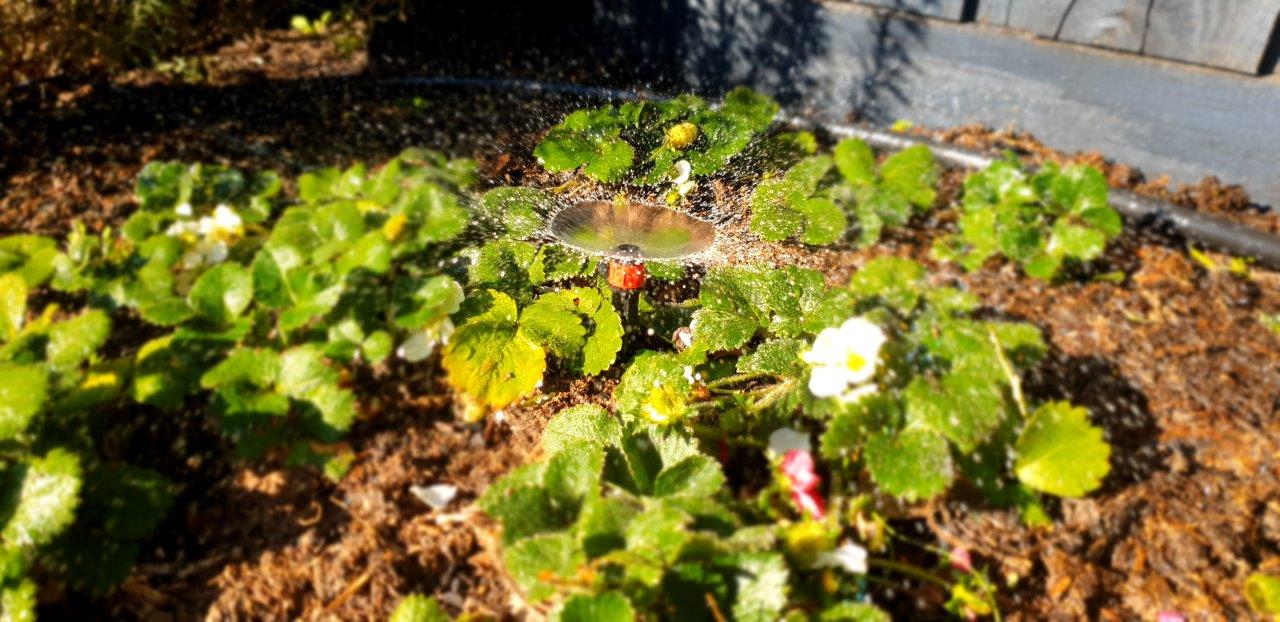 Adjustable Micro Sprayer - mazeproducts