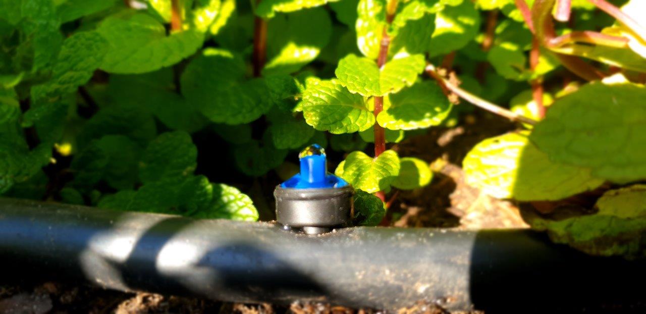 PC Dripper 4L/h - mazeproducts