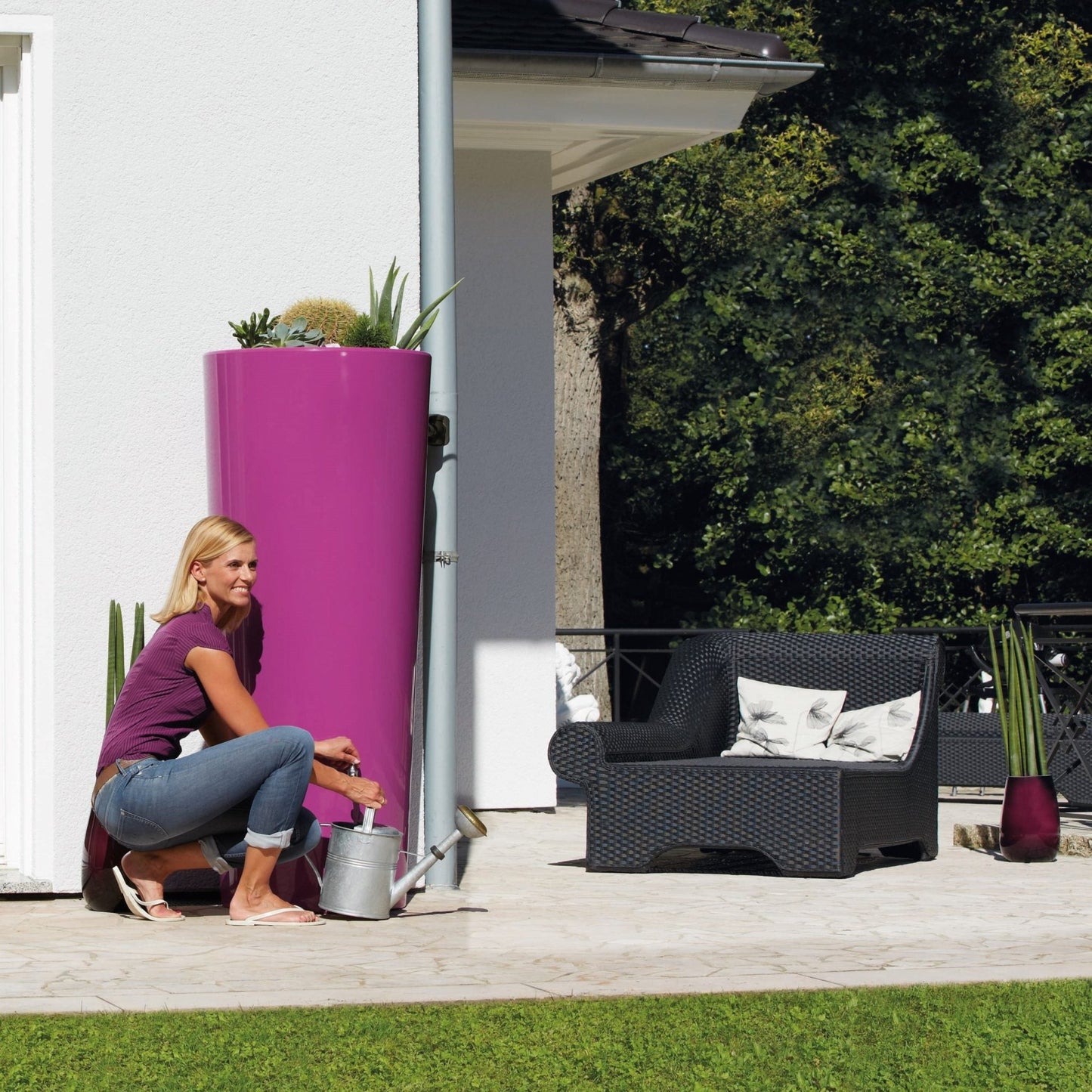 350L COLOR 2in1 MINItank - Cassis - mazeproducts