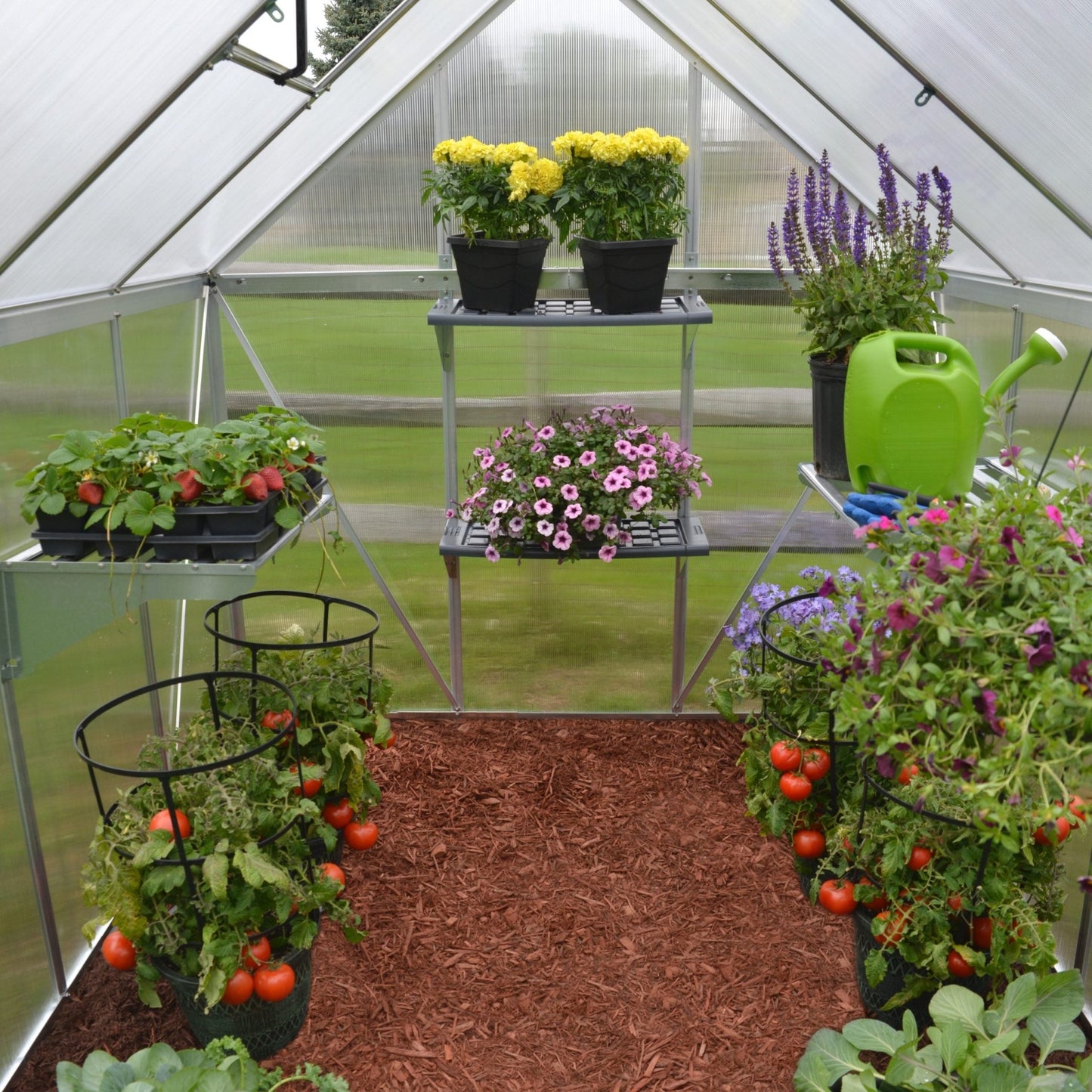 6' x 8' Mythos Greenhouse (1.9m x 2.5m) - mazeproducts