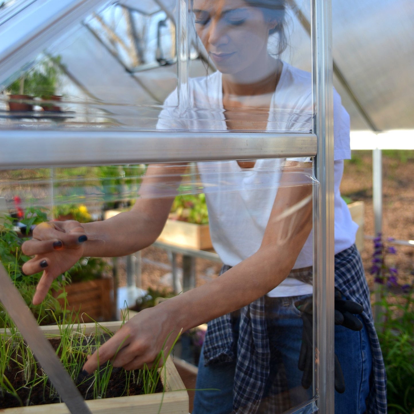 PRE ORDER OCT. - 6' x 14' Hybrid Greenhouse - Silver Frame (1.9m x 4.3m) - mazeproducts