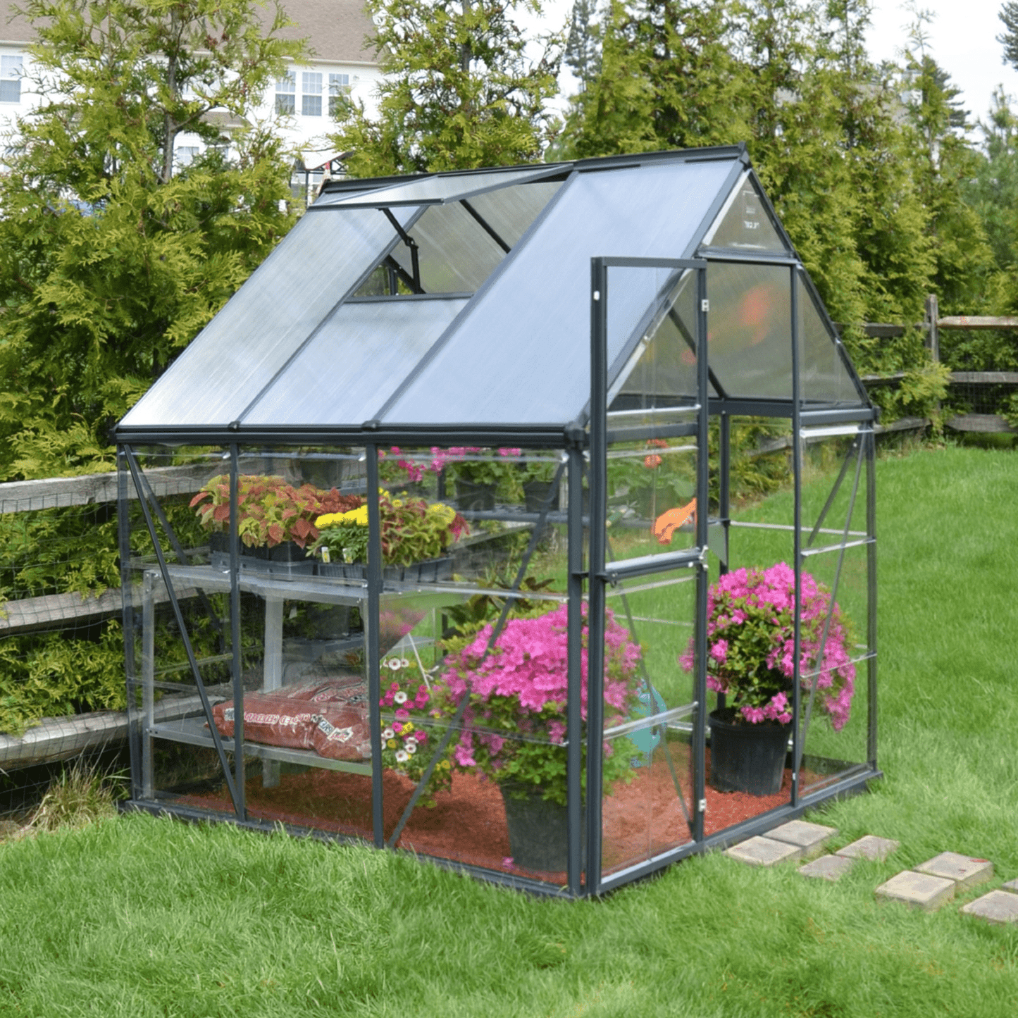 PRE ORDER OCT. - 6' x 6' Hybrid Greenhouse - Grey Frame (1.9m x 1.9m) - mazeproducts