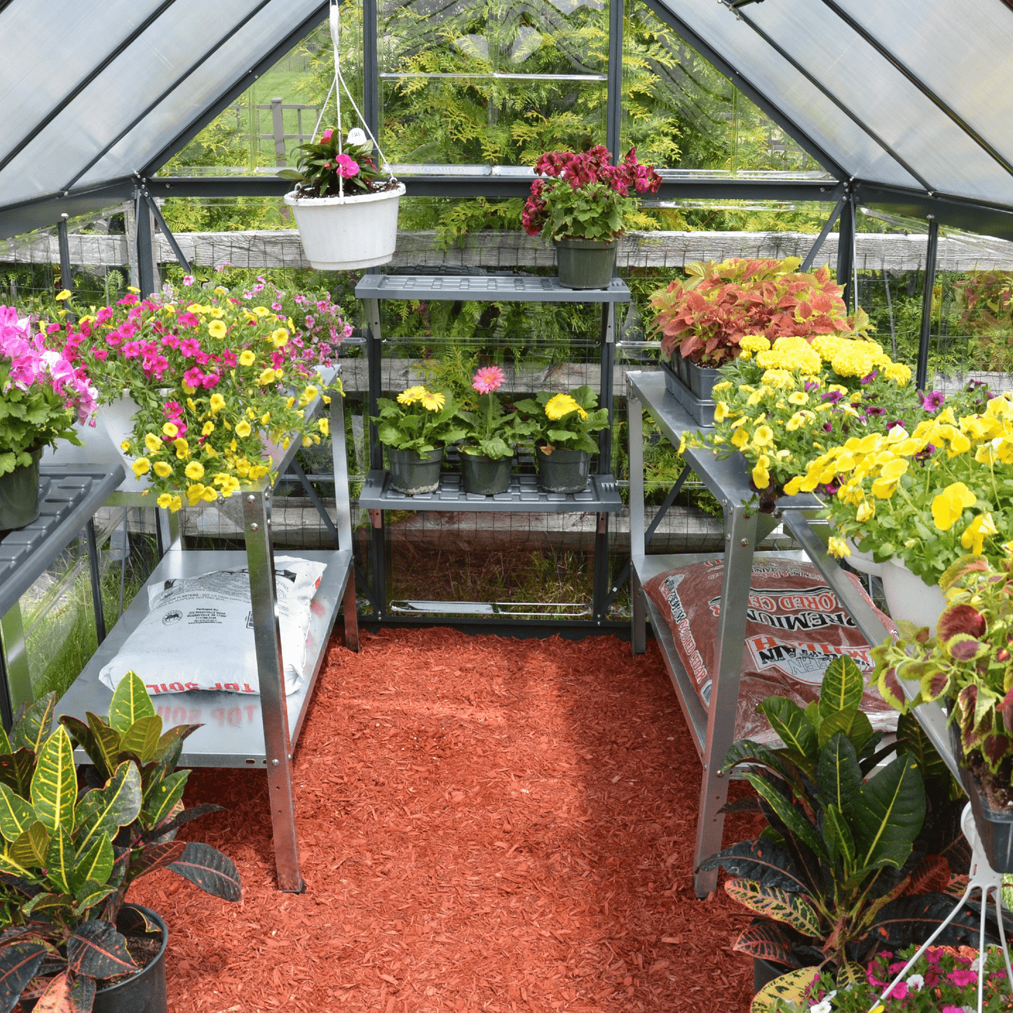 PRE ORDER OCT. - 6' x 6' Hybrid Greenhouse - Grey Frame (1.9m x 1.9m) - mazeproducts