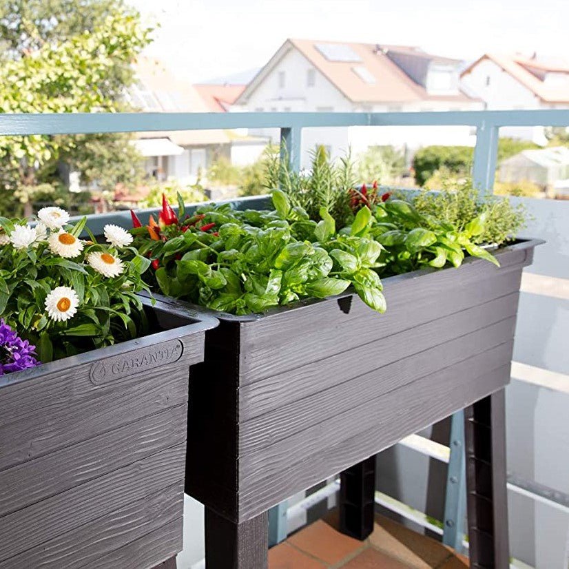 URBAN Raised Planter with Cloche Cover - mazeproducts