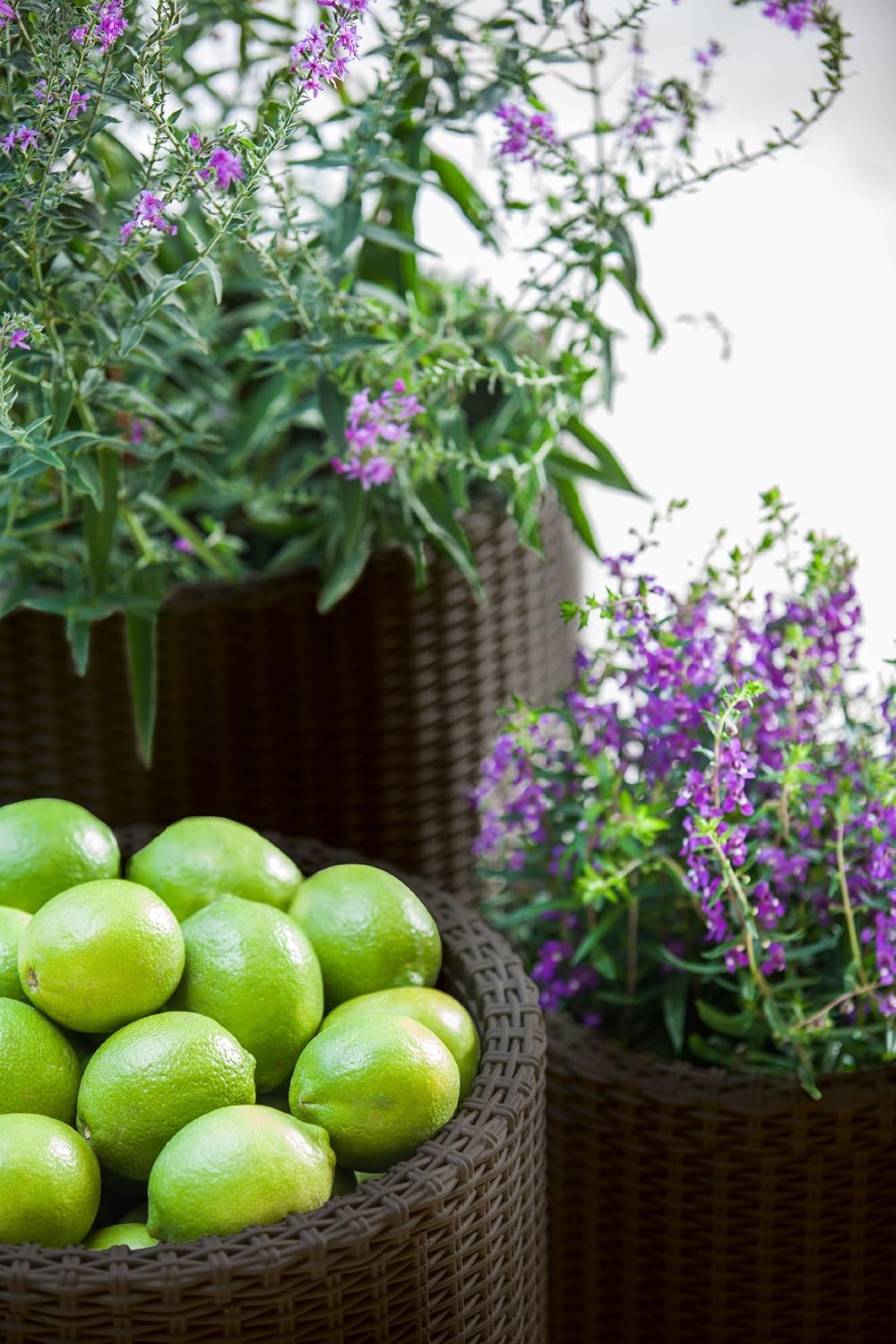 Keter Cylinder Planter - Set of 3 (S+M+L) - Dark Brown - mazeproducts