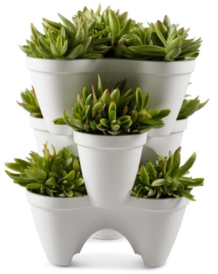 Keter Ivy Planter - White / Green - 5 Pack - mazeproducts