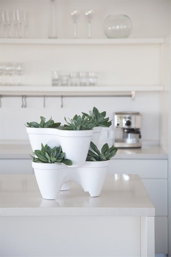 Keter Ivy Planter - White / Green - 3 Pack - mazeproducts