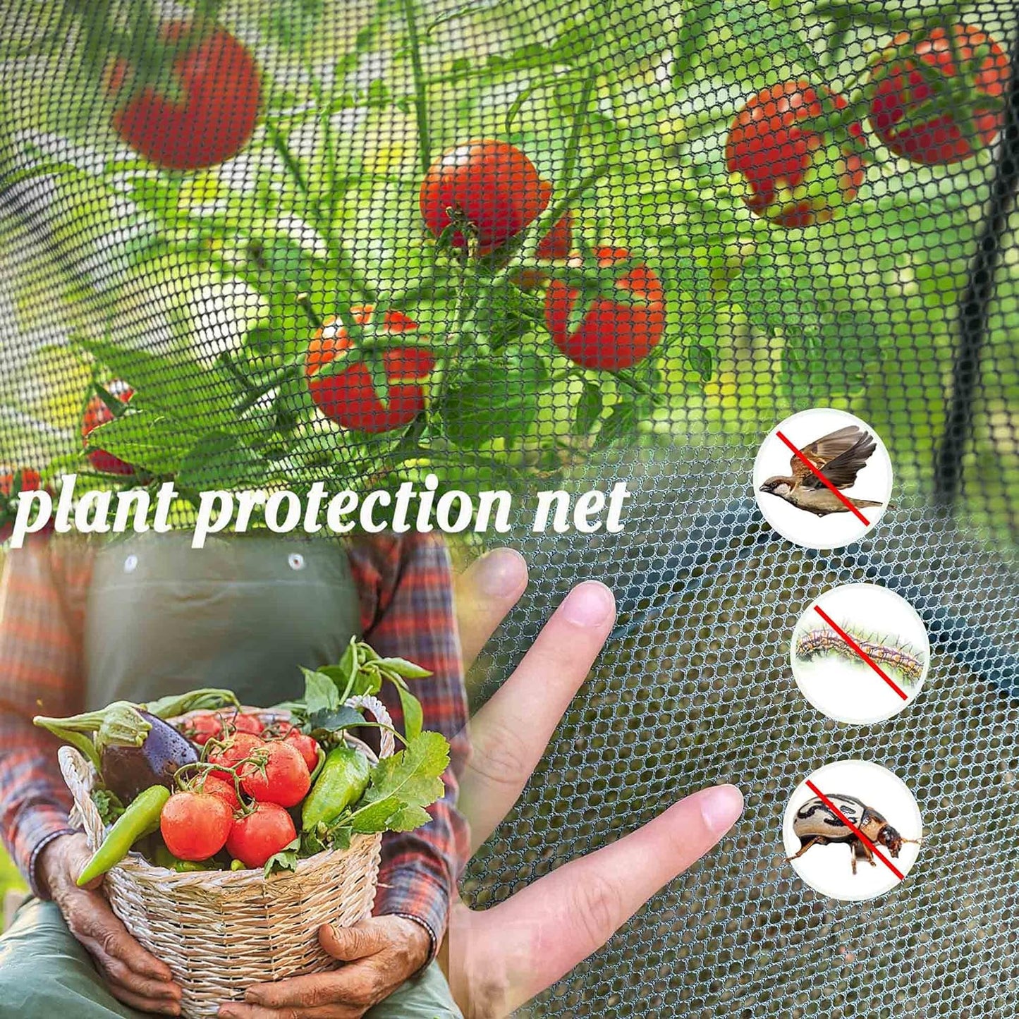 ARCH NET Crop Protection Cage - Medium - mazeproducts