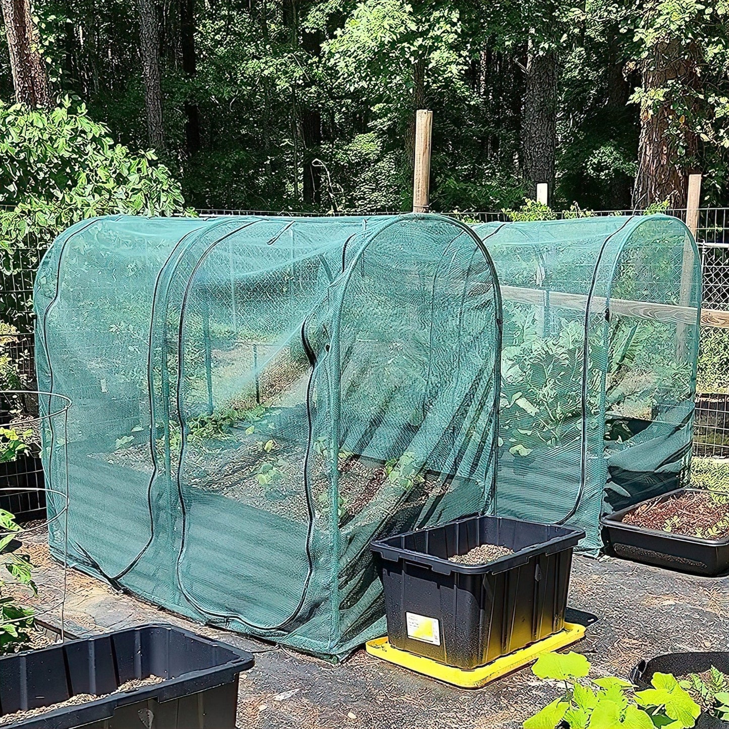 ARCH NET Crop Protection Cage - Medium - mazeproducts