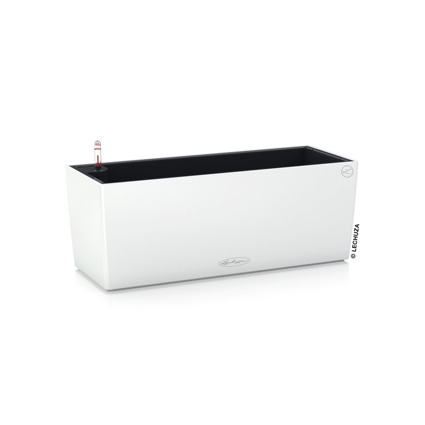 PRE ORDER: OCT. - BALCONERA Color 50 - mazeproducts