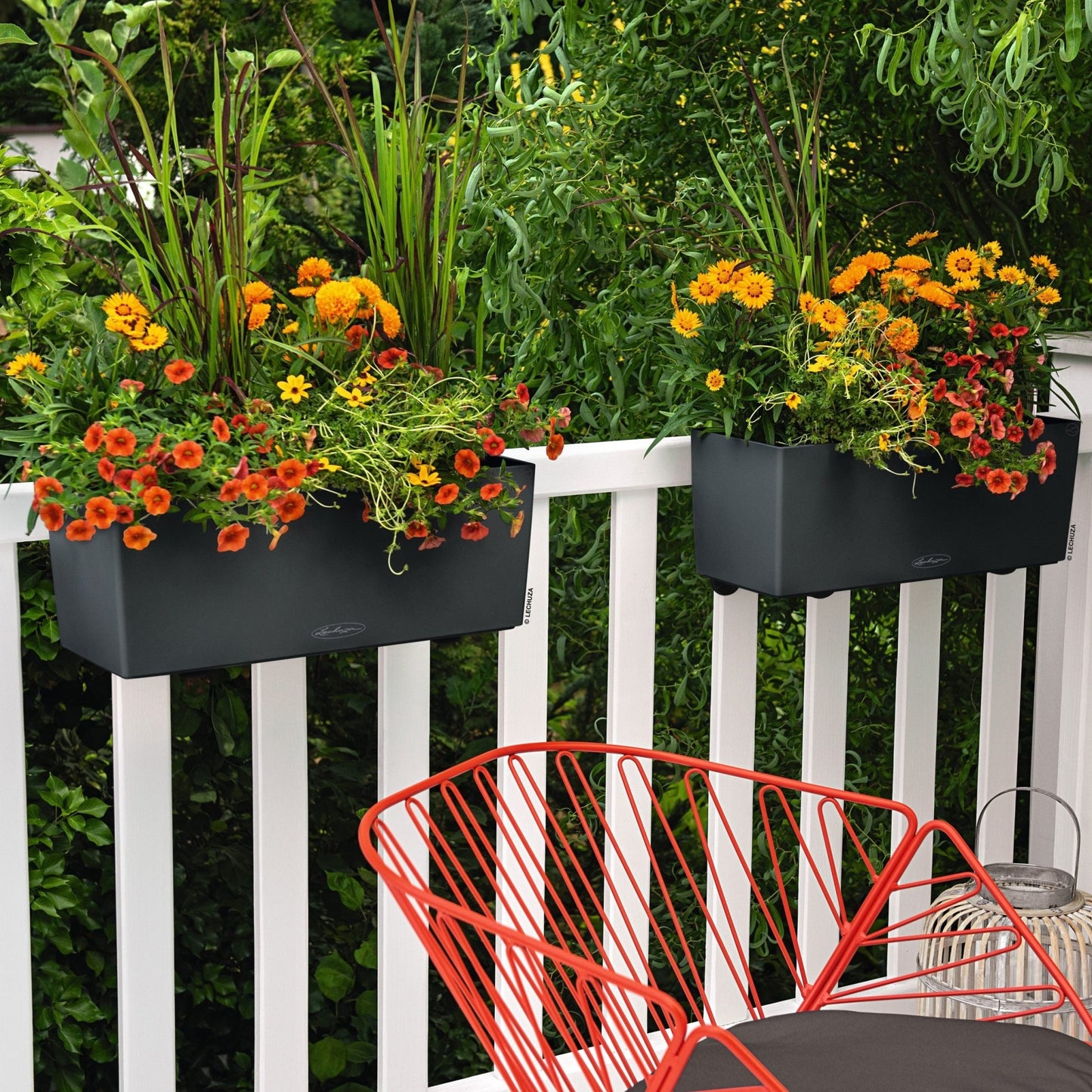 PRE ORDER: OCT. - BALCONERA Color 50 - mazeproducts