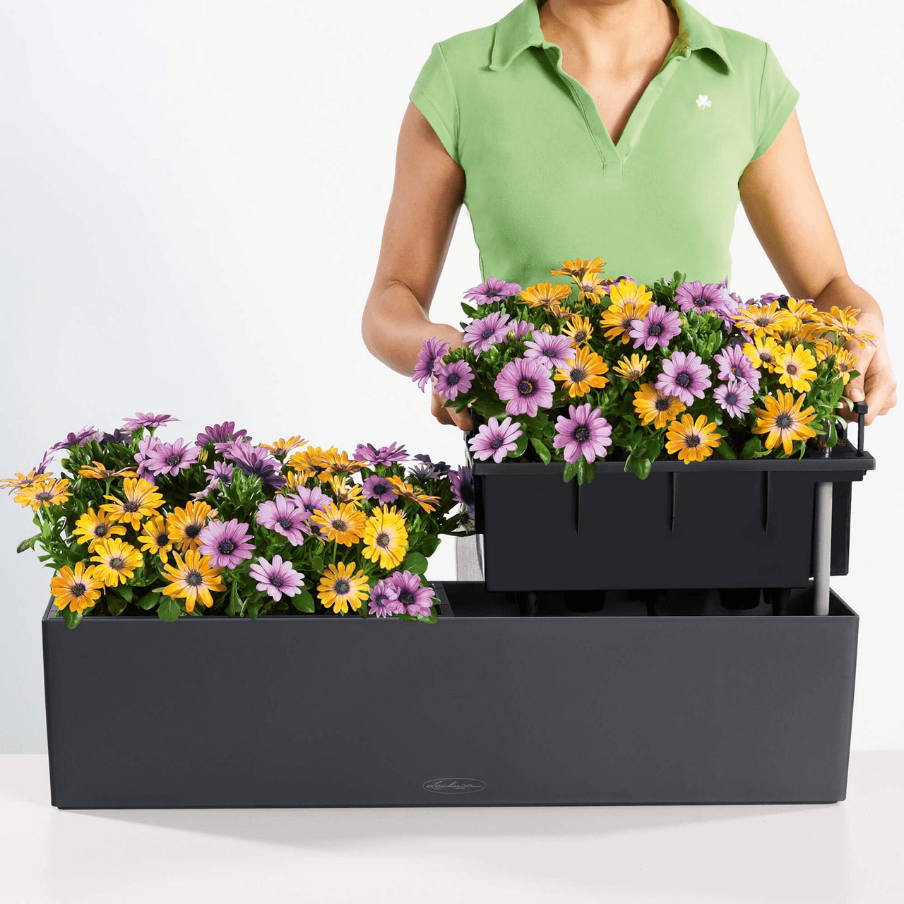 BALCONERA Color 80 - mazeproducts