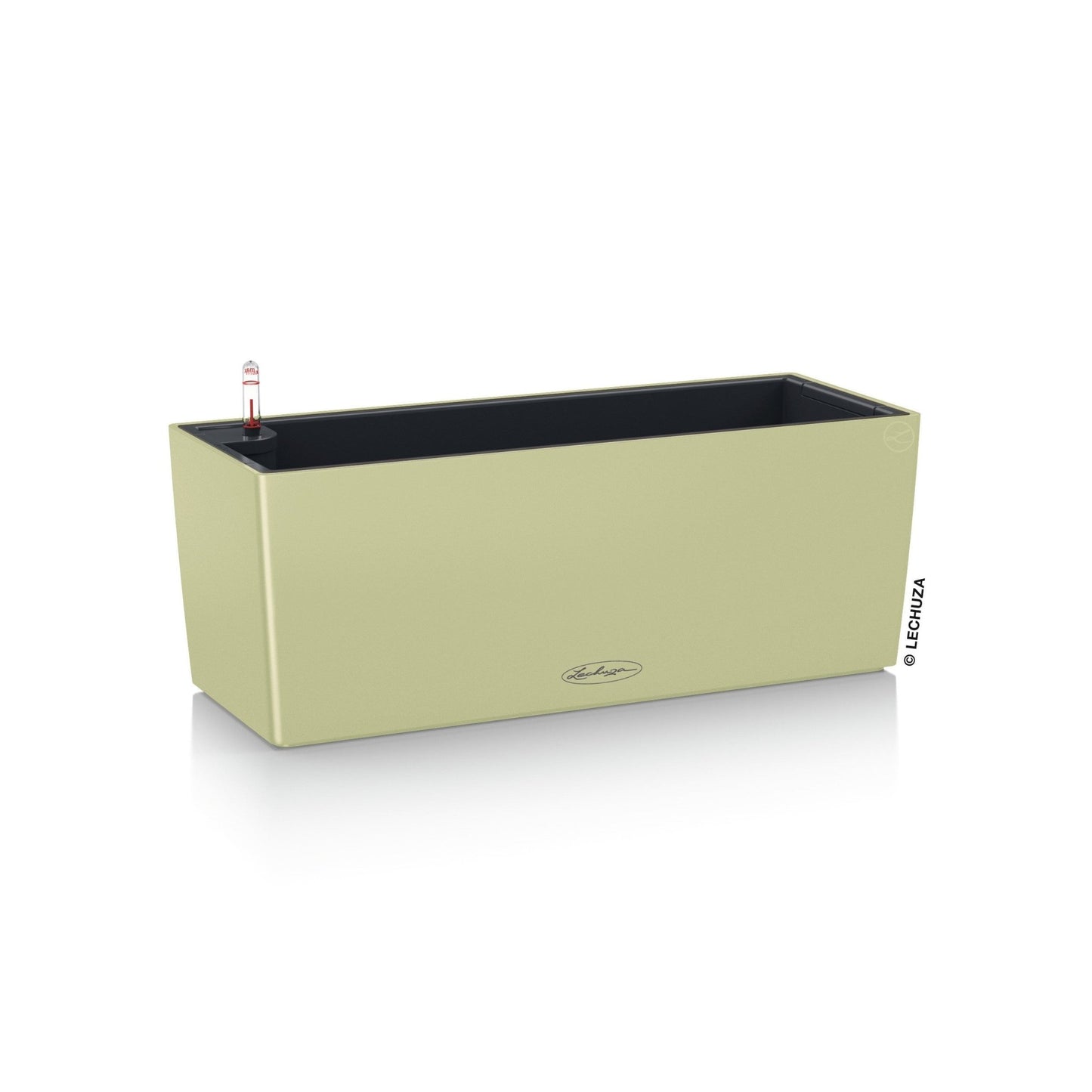 PRE ORDER: OCT. - BALCONERA Color 50 - mazeproducts