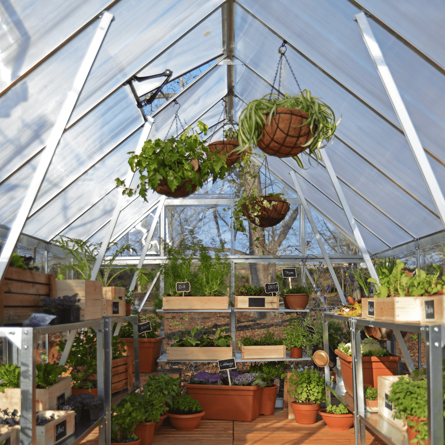 8' x 20' Balance Greenhouse (2.5m x 6.1m) - mazeproducts