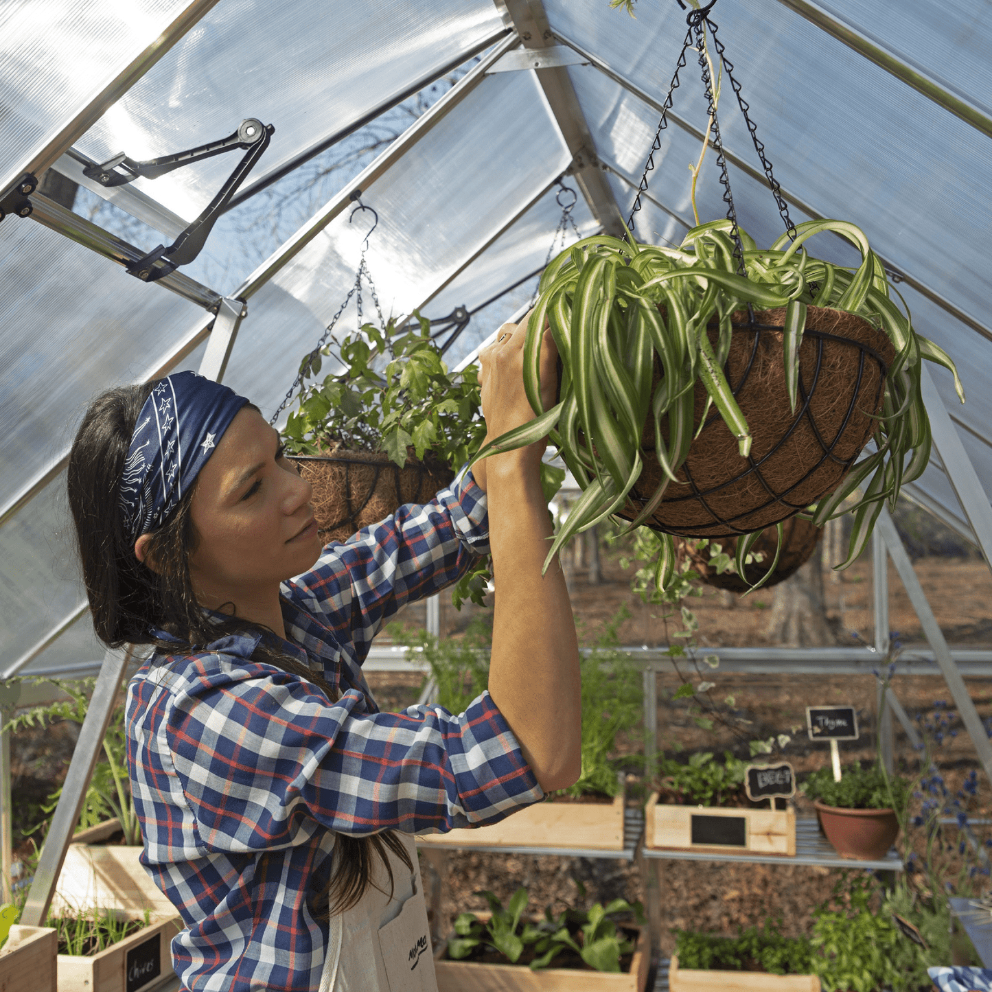 8' x 16' Balance Greenhouse (2.5m x 4.9m) - mazeproducts