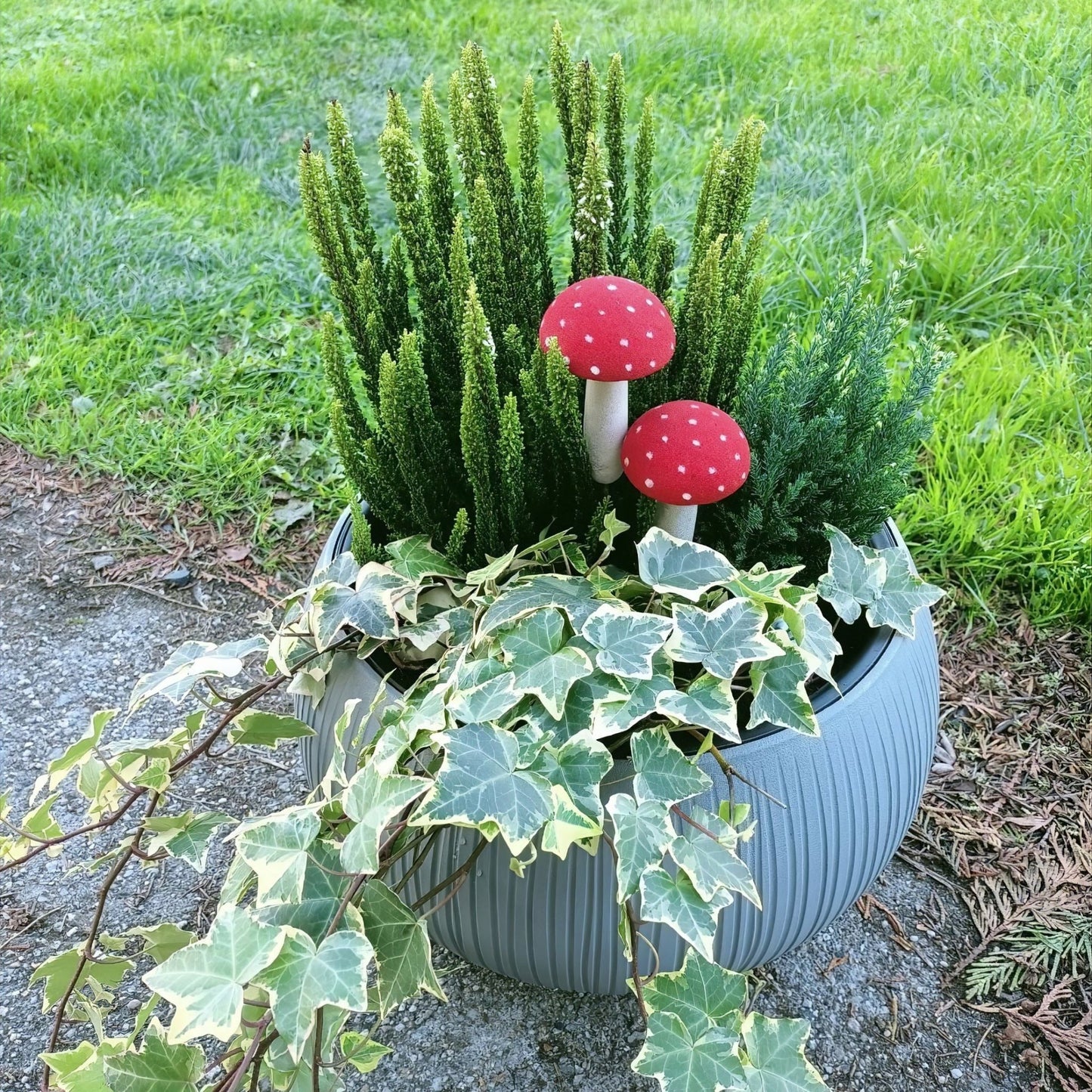 Beton Bowl Planter 370 - mazeproducts