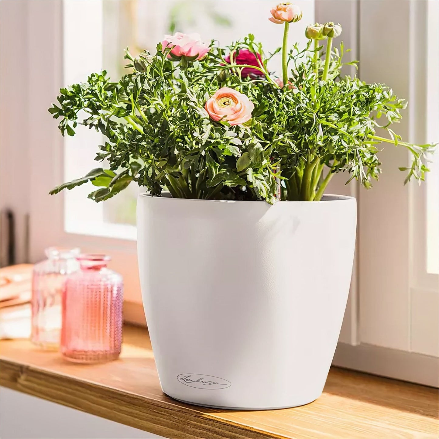 PRE ORDER OCT. - CLASSICO Color 14 - mazeproducts