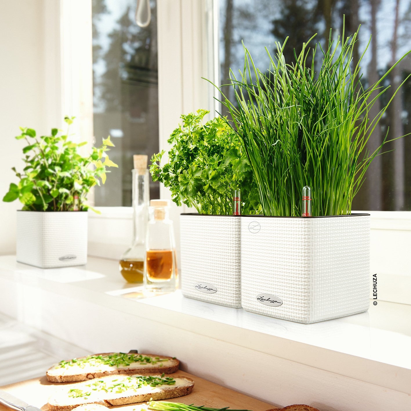 PRE ORDER: OCT. - PURO CUBE Color 14 - mazeproducts