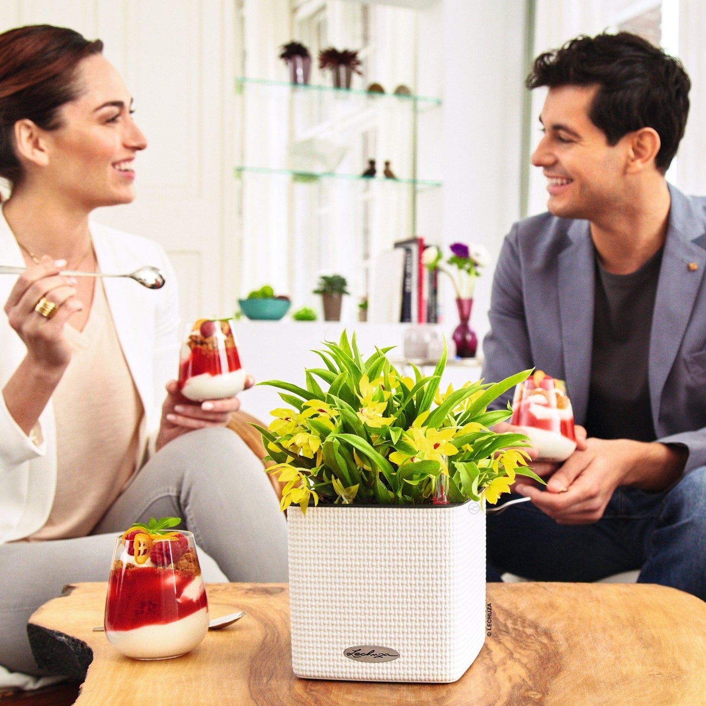 PRE ORDER: OCT. - PURO CUBE Color 14 - mazeproducts