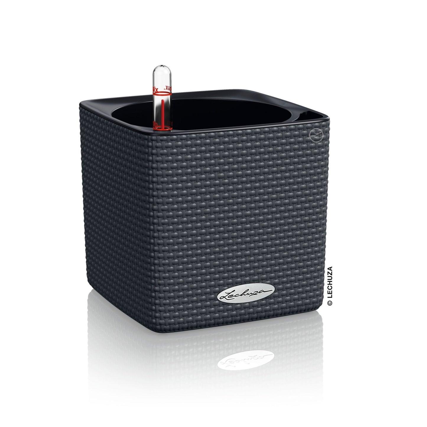 PRE ORDER: OCT. - PURO CUBE Color 14 - mazeproducts