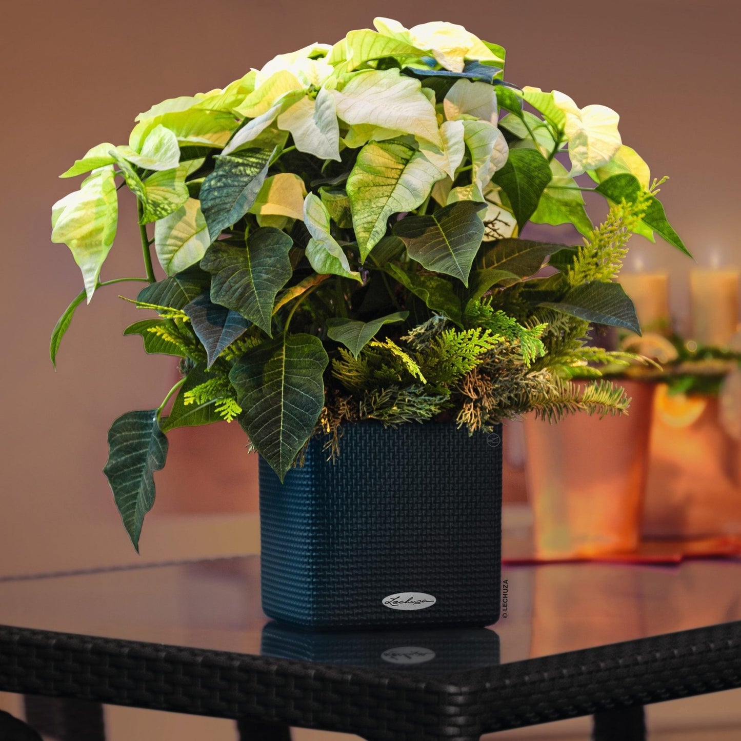 PURO CUBE Color 16 - mazeproducts