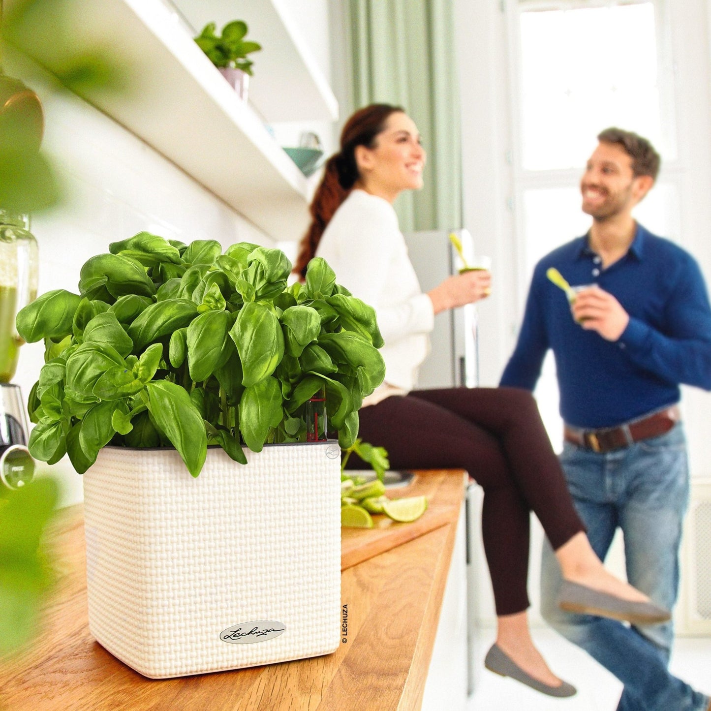 PURO CUBE Color 16 - mazeproducts