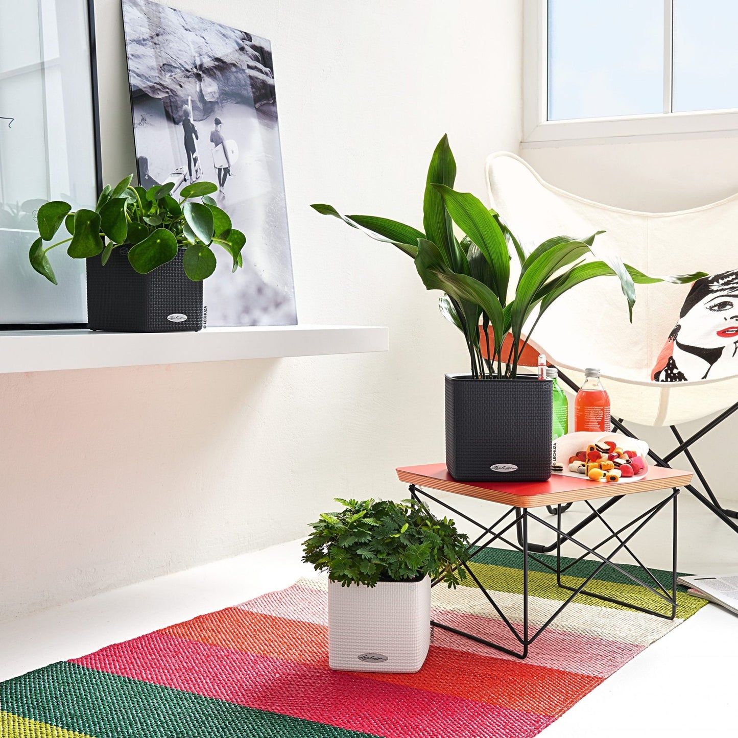 PURO CUBE Color 16 - mazeproducts