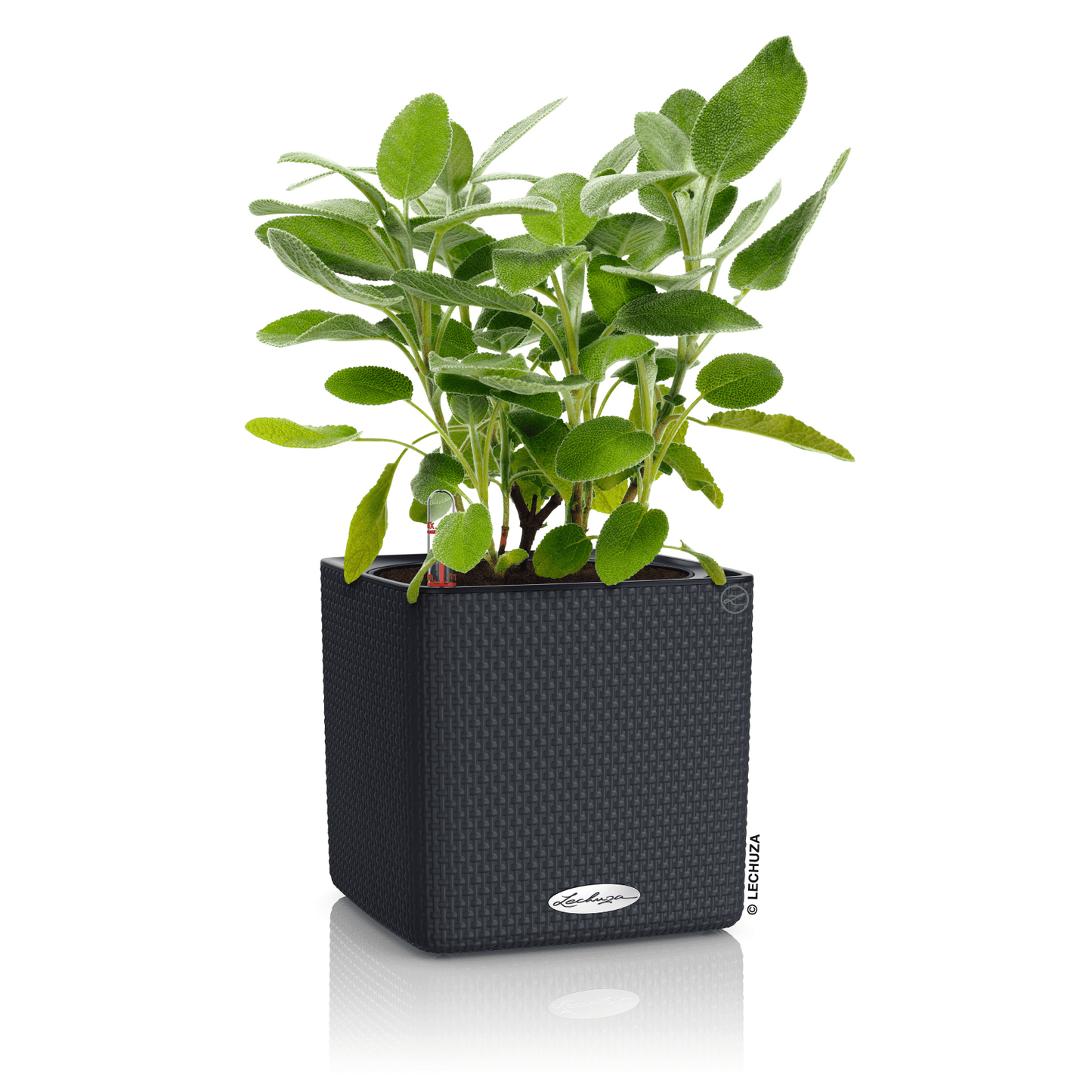 PURO CUBE Color 16 - mazeproducts