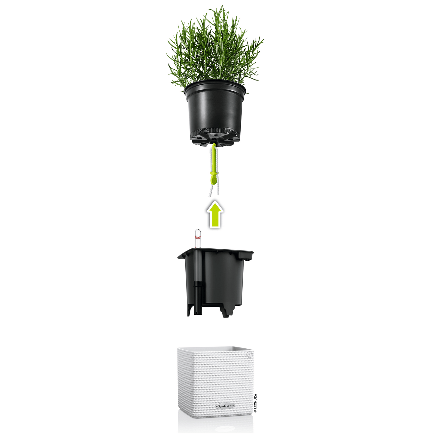 PRE ORDER: OCT. - PURO CUBE Color 14 - mazeproducts