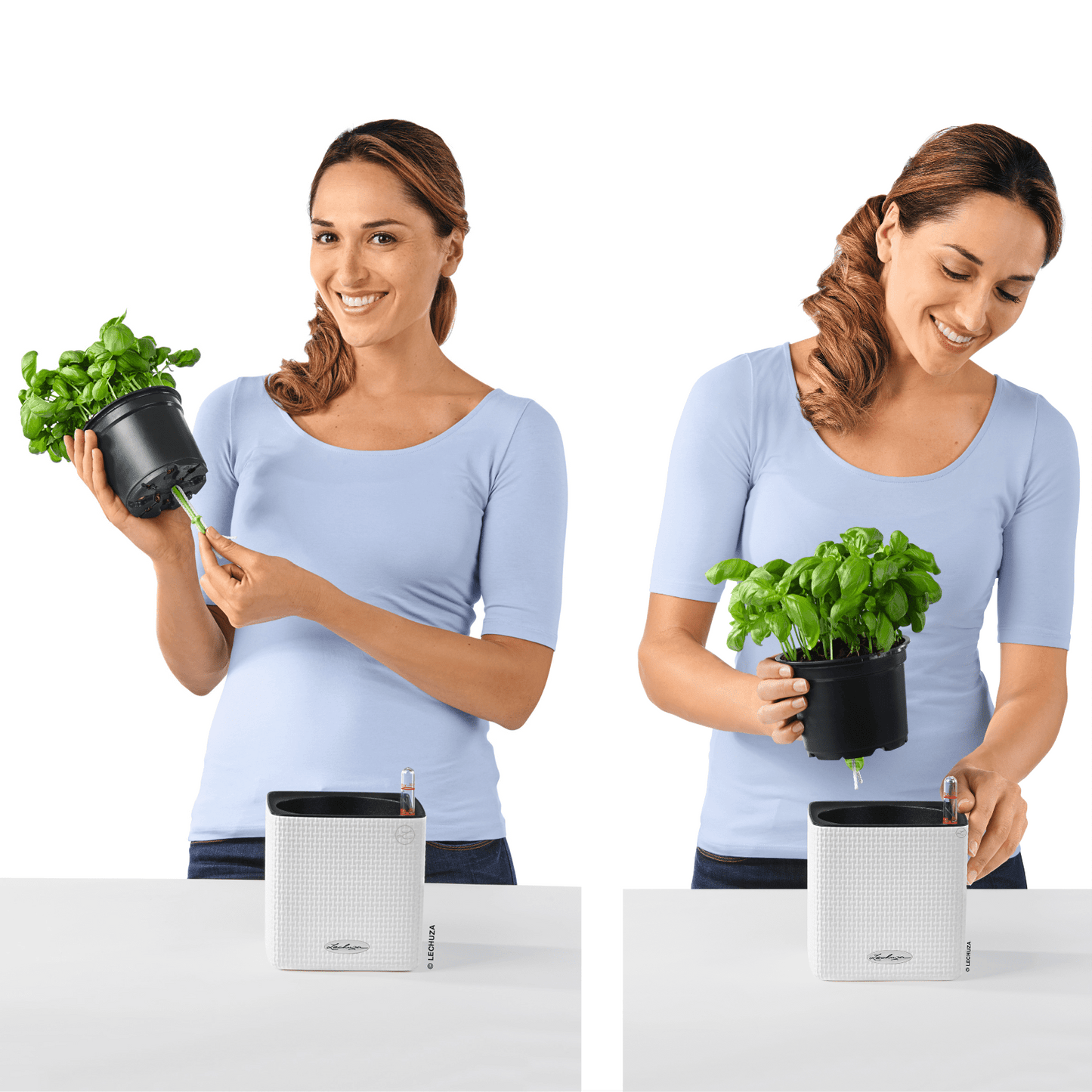 PRE ORDER: OCT. - PURO CUBE Color 14 - mazeproducts