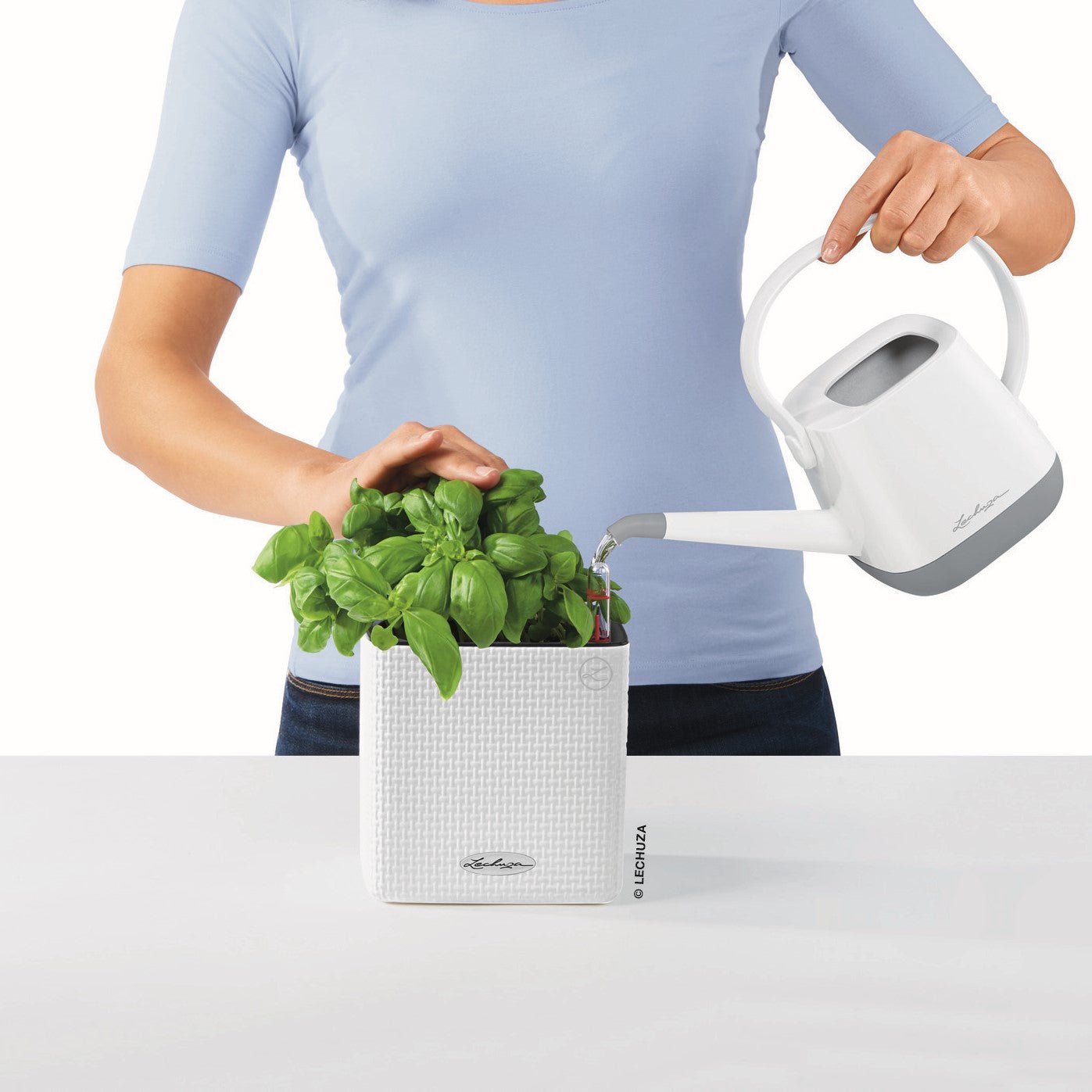 PRE ORDER: OCT. - PURO CUBE Color 14 - mazeproducts