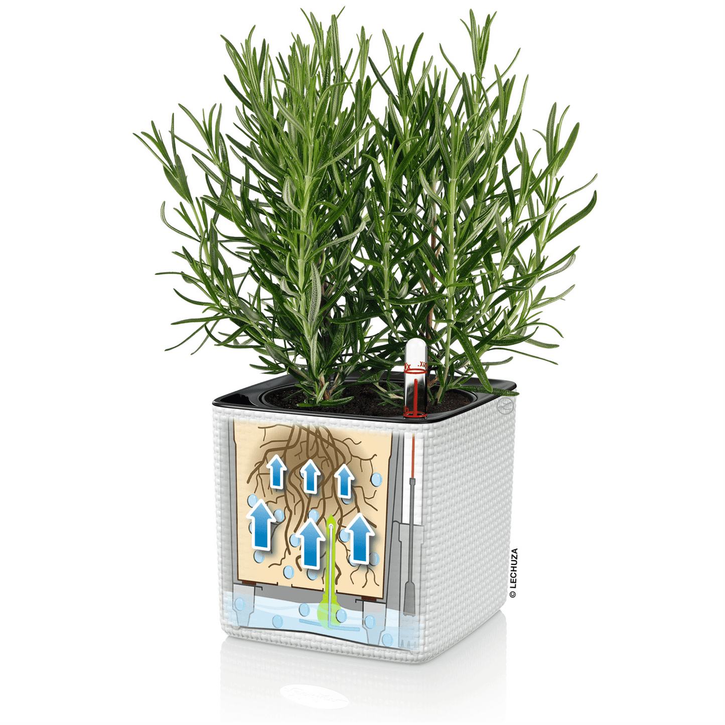 PURO CUBE Color 16 - mazeproducts