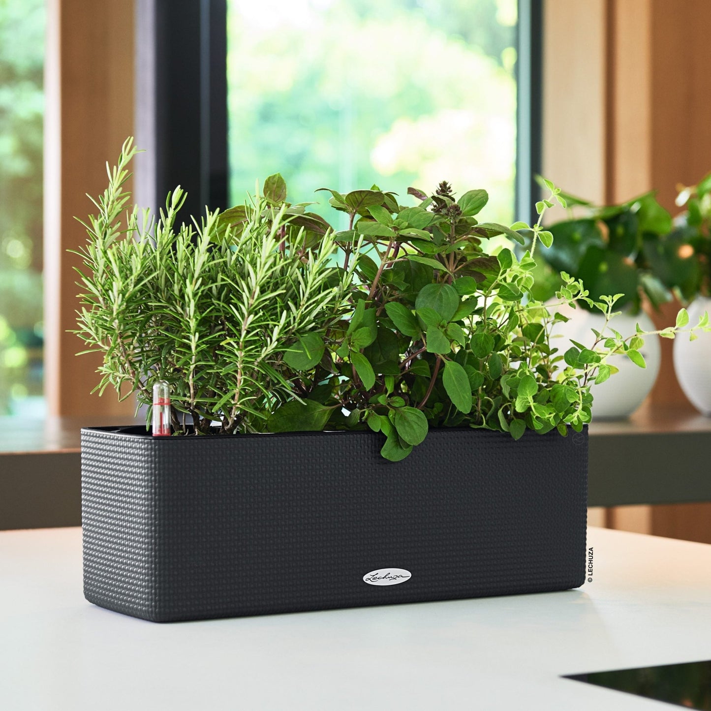 PURO CUBE Color Triple - mazeproducts