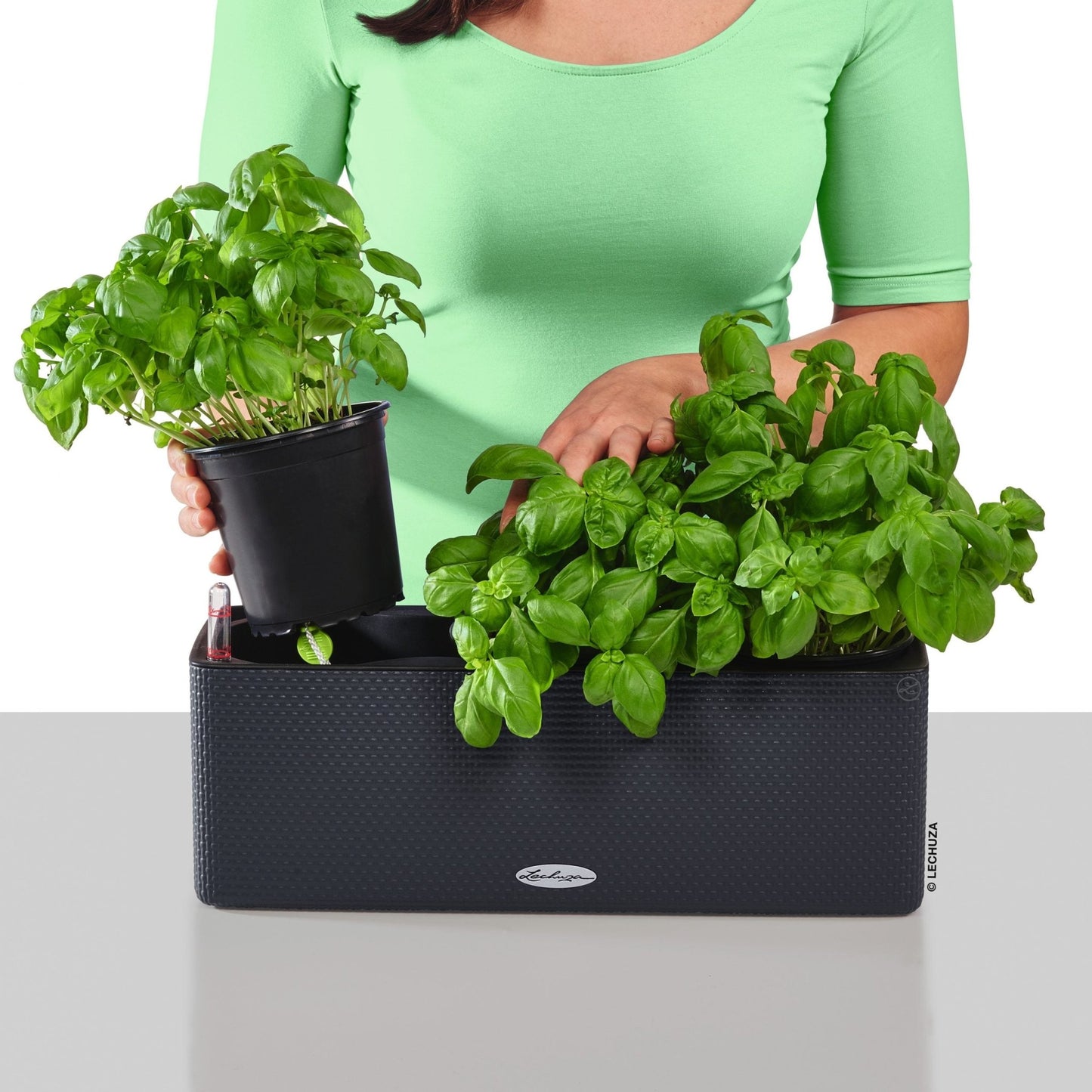 PURO CUBE Color Triple - mazeproducts