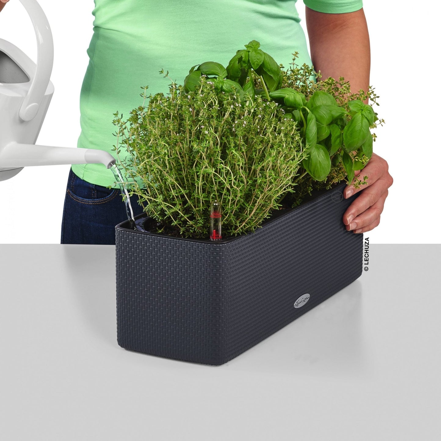 PURO CUBE Color Triple - mazeproducts