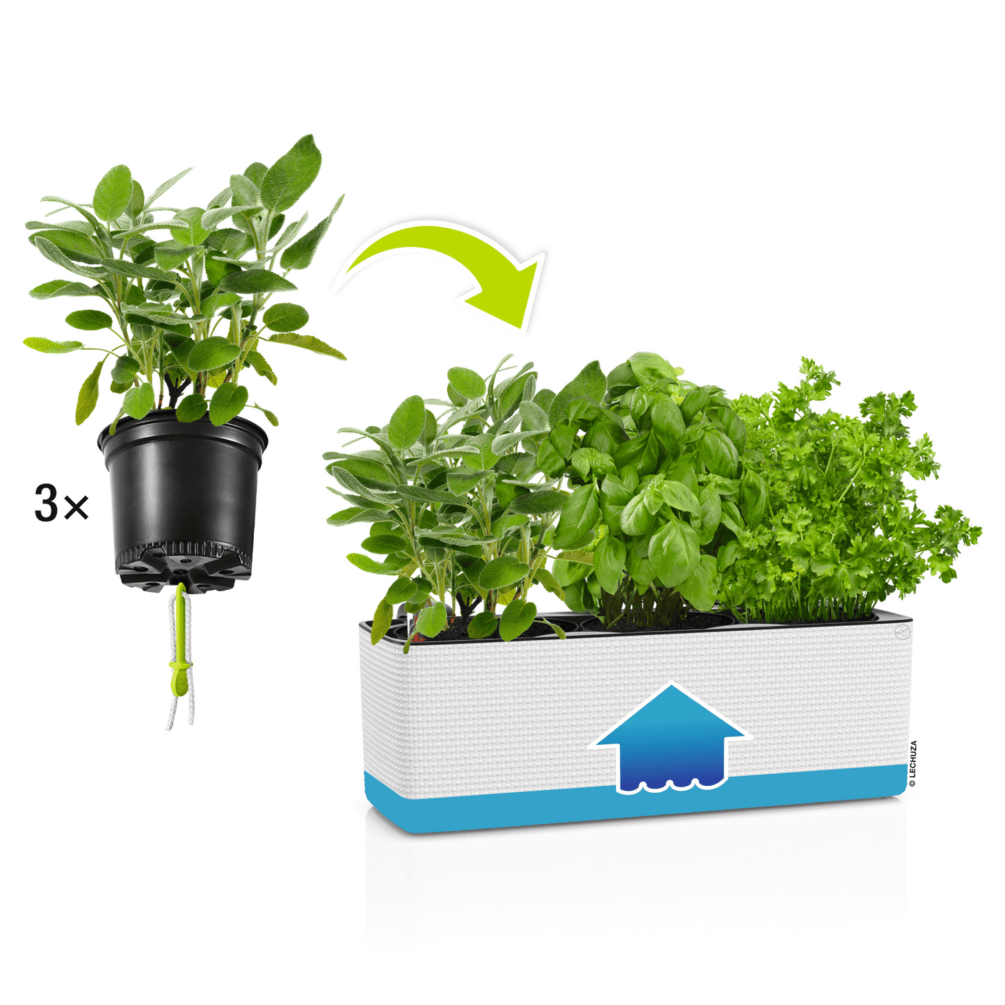 PURO CUBE Color Triple - mazeproducts